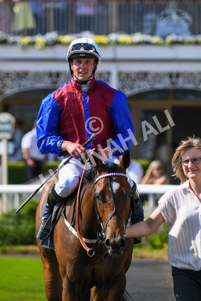 160623-Race 5-Harvanna-0614 - Race 5 4.10pm Juddmonte British EBF Fillies' Restricted Novice Stakes