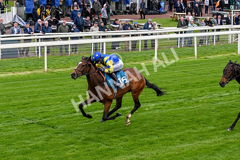 130526-Race 6-Startled-0378 - Race 6 4.40pm Conundrum HR Consulting Handicap