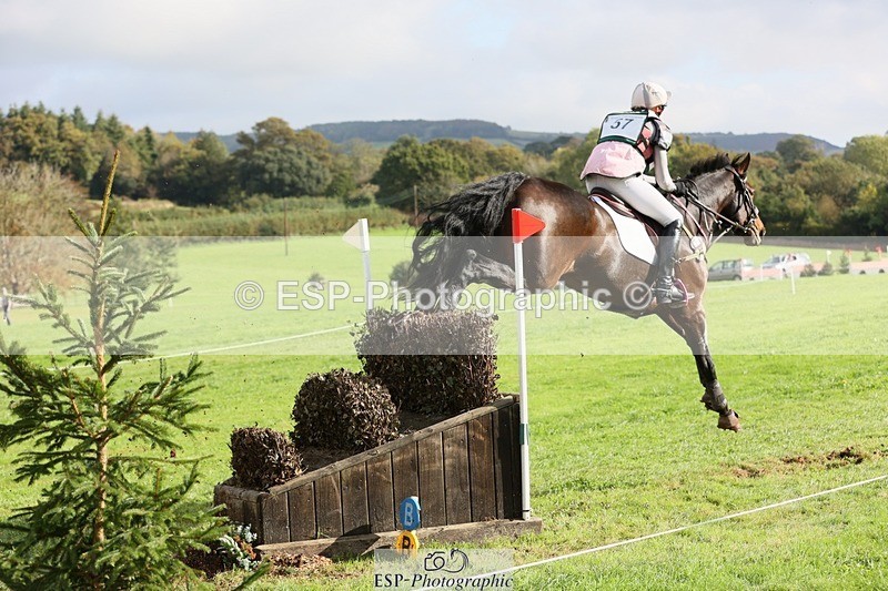 231020-115725-06853 - 057-OVERTON.TILANA'S.GOLD-Claire.Deuten-XC