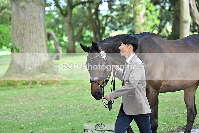 250521A-170132-01476 - C-280-Ryo.Murata-BROOKPARK.VIKENTI