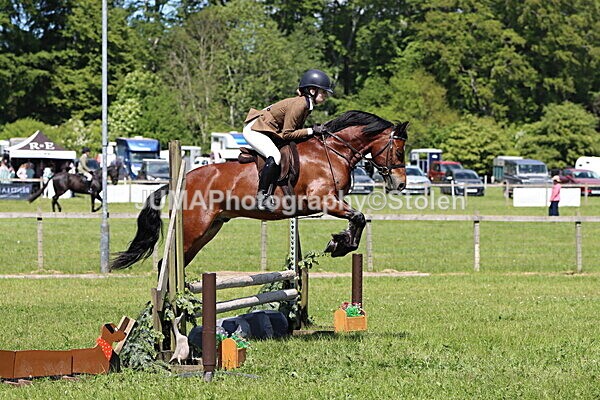 IMG_3752 - Working Hunter