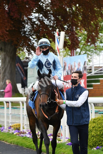 yr14052021r2-28 - Race 2 2.10pm Oak Farm Stables Fillies' Stakes (registered as the Michael Seely Memorial Stakes)