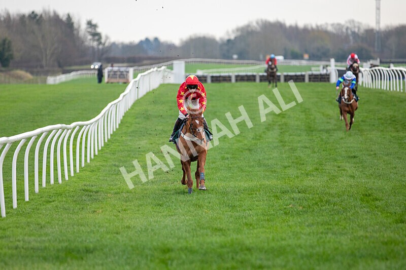 171224-Race 4-Wise Eagle-0193 - Race 4