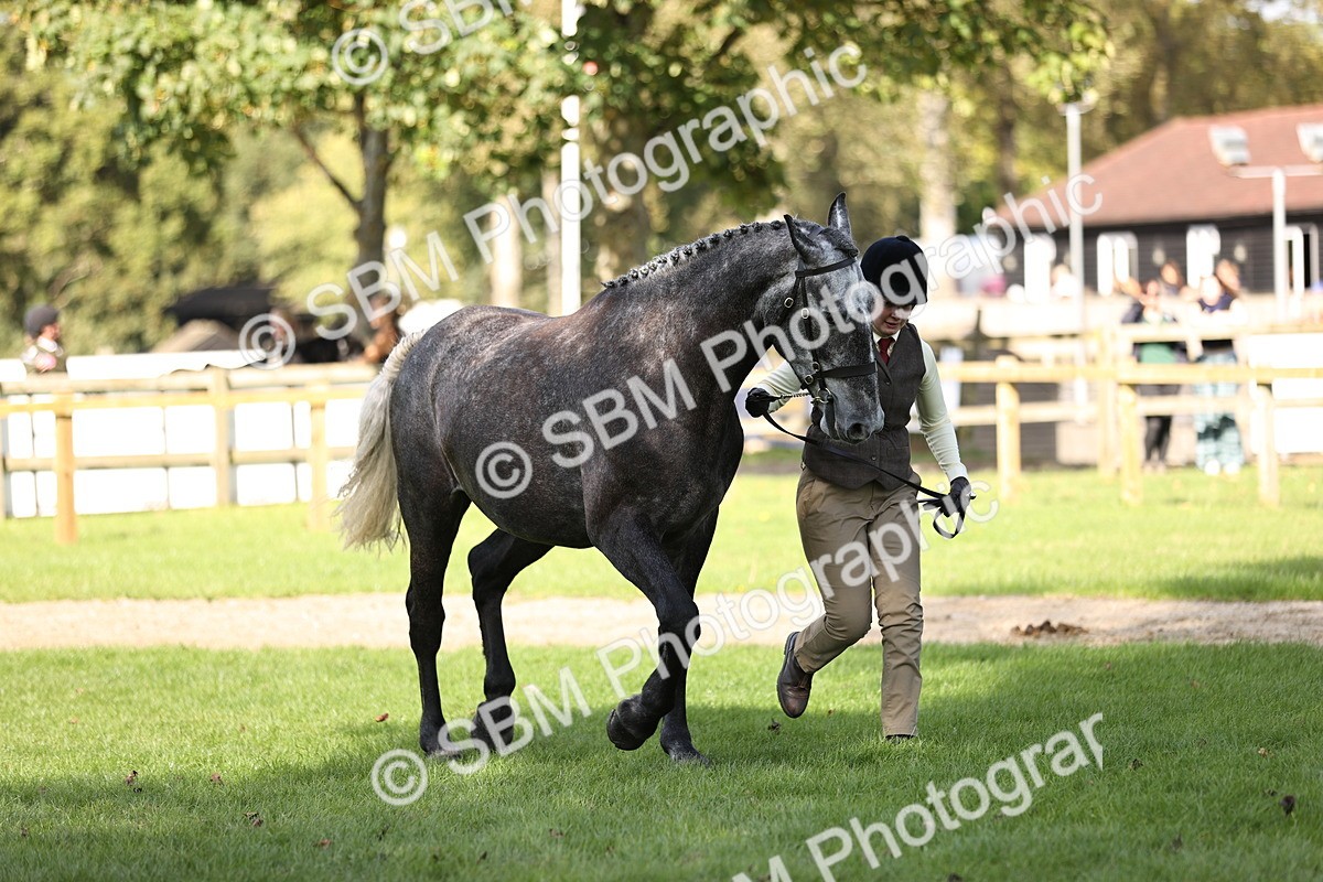 SBM_26270 - S5 - Novice & Newcomers In Hand