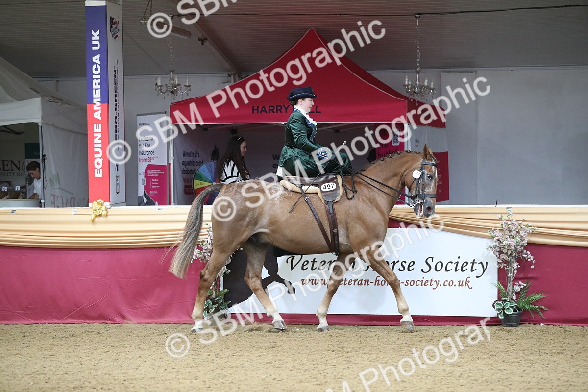SBM_11528 - Class 105 Ridden Costume- Side Saddle