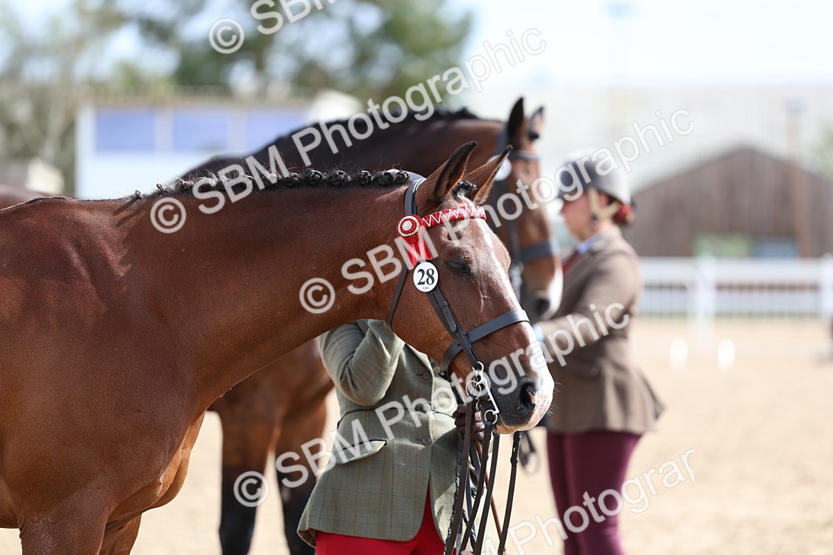 SBM_02515 - Class 20 - IH Veteran