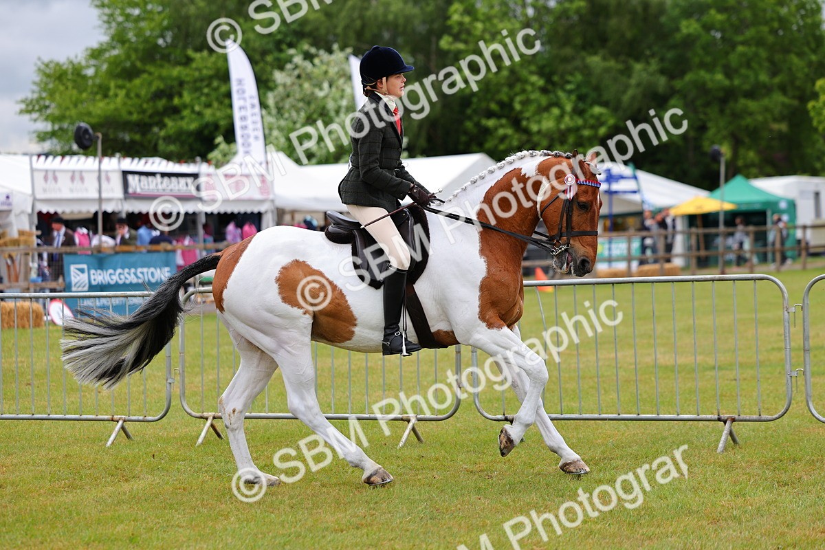 SBM_02504 - Class 9-11 Side Saddle including LIHS Rising Star Ladies Show Horse