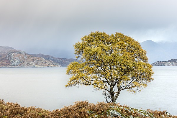  - Scotland, UK