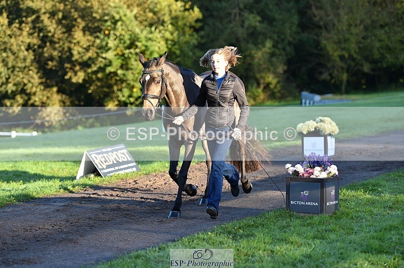 231022-090142-21515 - 629-DP.UK.DUN.SURPRISE-Isla.Kitson-TrotUp+SJ