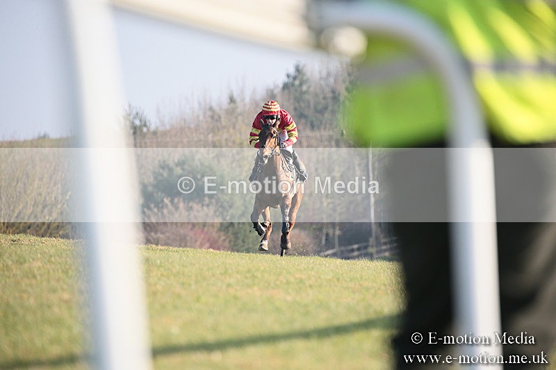 PtP 230219 534 - Vine & Craven Point-To-Point - Barbury 23/02/19