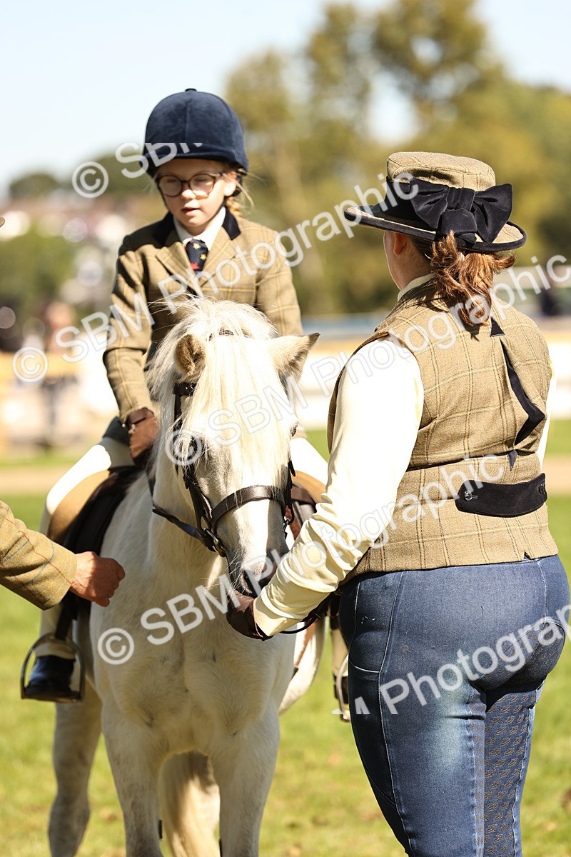 SBM_19304 - S3 - TSR Ridden Pony Showing