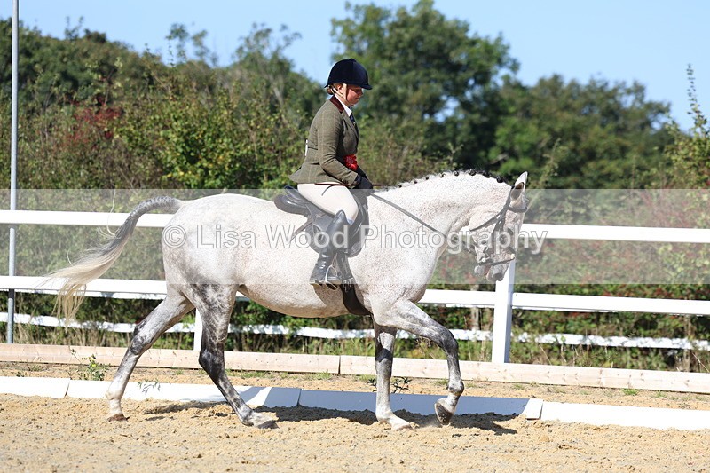 3E7A5645 - Class 9: Open Ridden Hunter