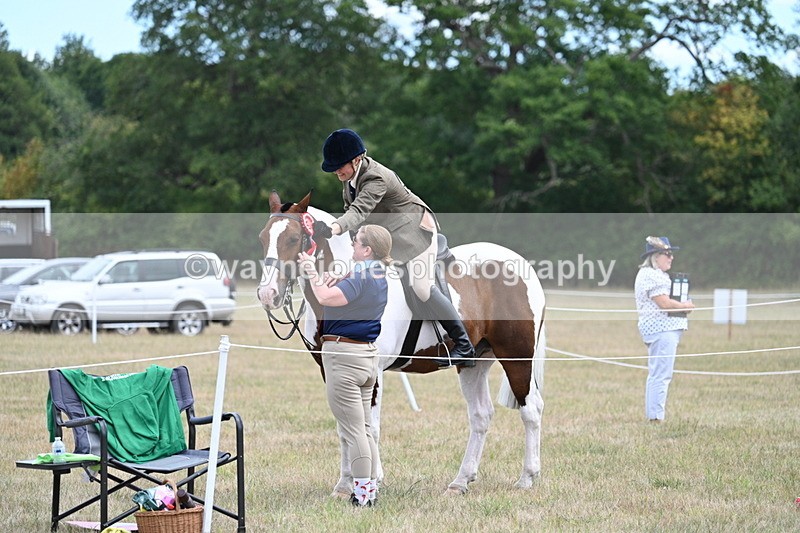 WJ7_5702 - Class 12 Ridden Cob