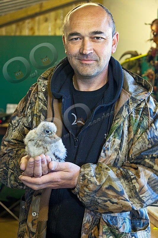 Paul and Kee-Kee - Our Birds