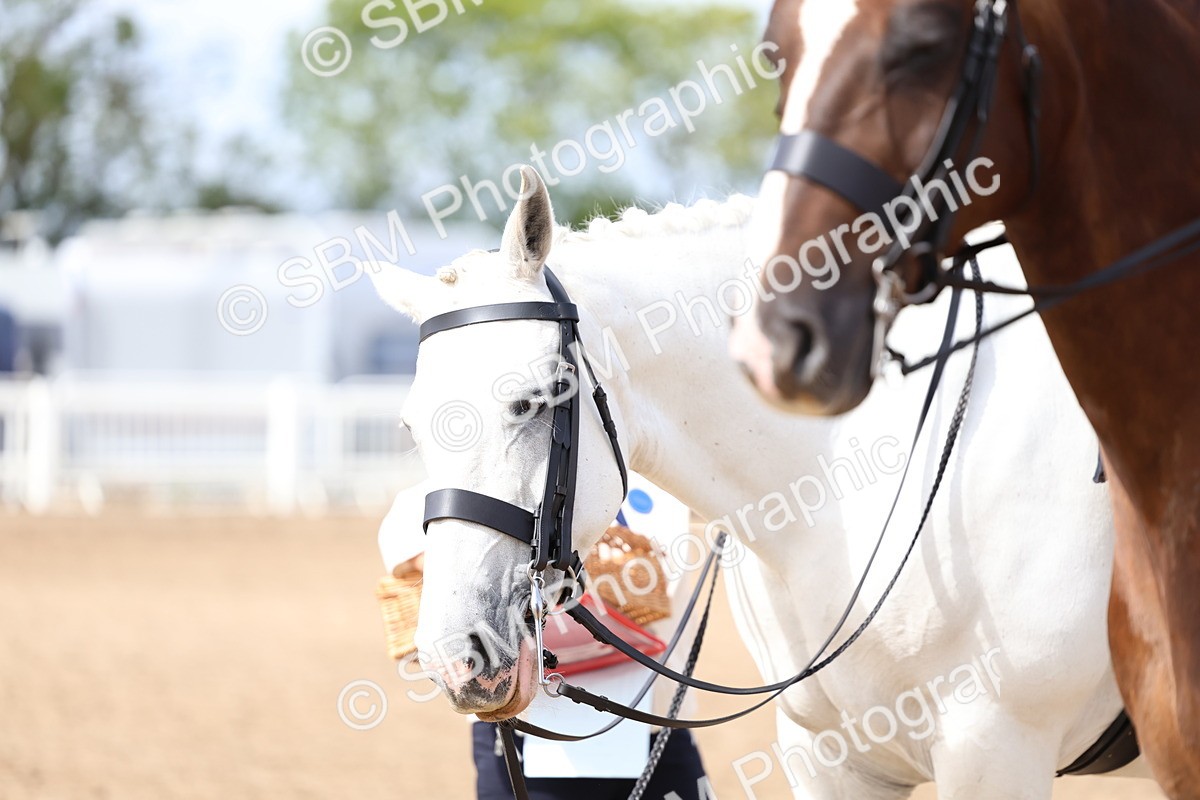 SBM_03279 - Class 22 - SSA Equitation (any age)