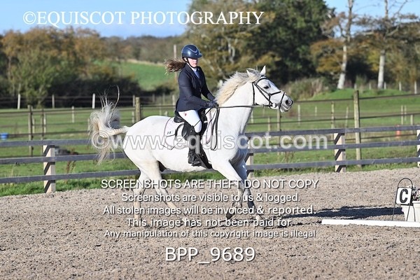 BPP_9689 - SHORT ARENA