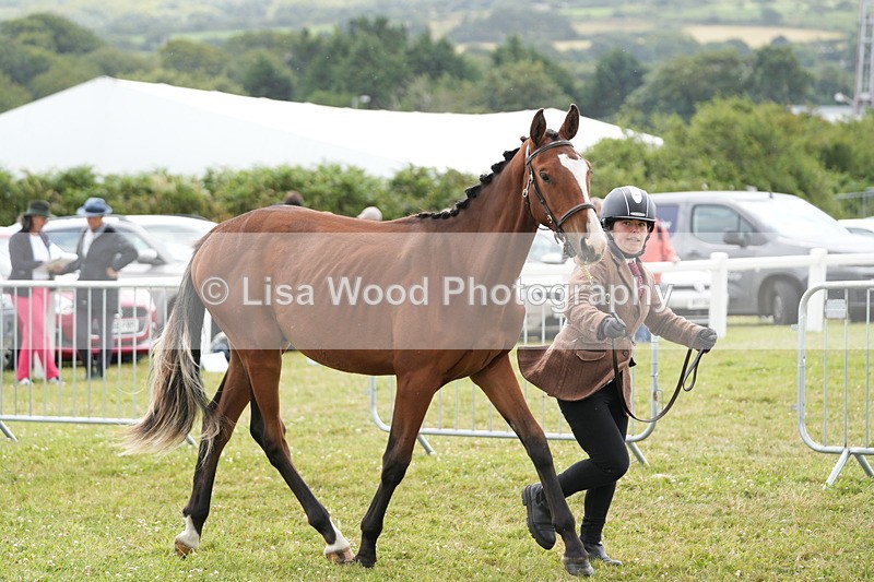 DSC06046 - Class 54: Hunter/Riding Horse/Hack 1 & 2 yr olds