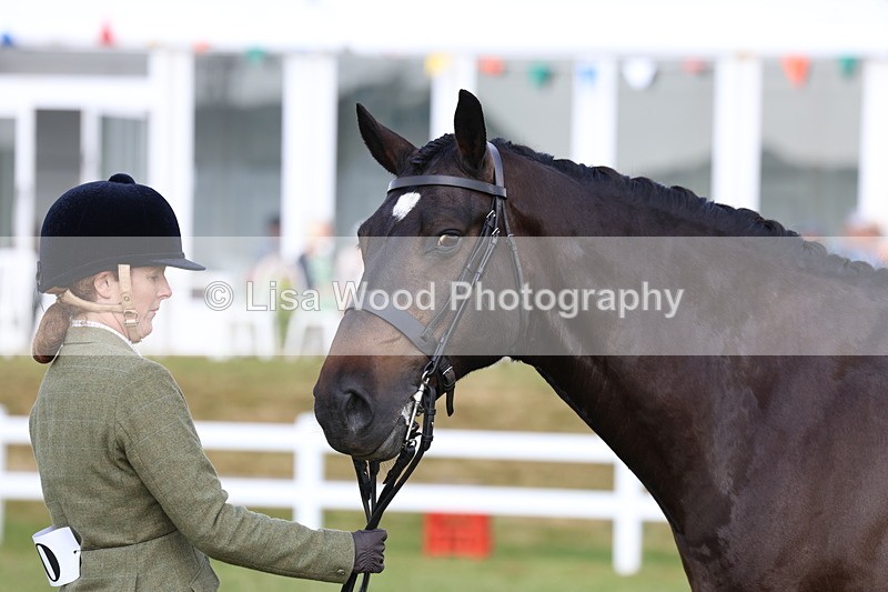 3E7A9108 - Class 3: Rising Star S/L Hunter