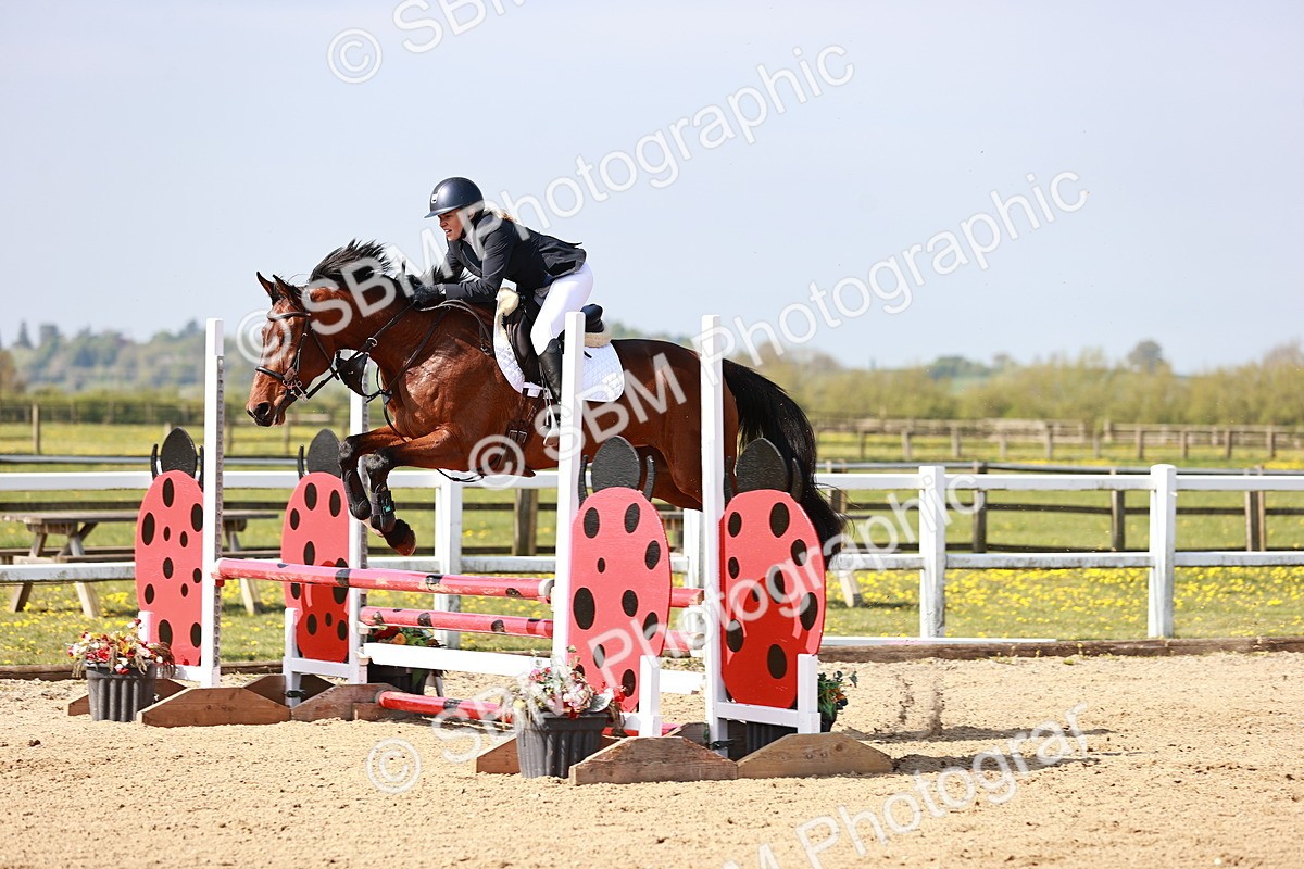  - Class 21 - Senior British Novice - 90cm
