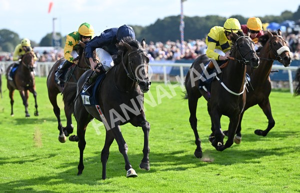 220825-247 Frescobaldi - Race 6 4.45pm British Stallion Studs EBF Convivial Maiden Stakes