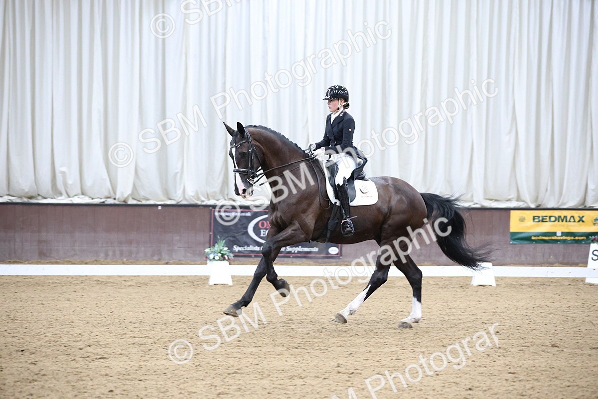 SBM_004683 - Class 9 - FEI Inter 1 Gold - 16.59-17.47