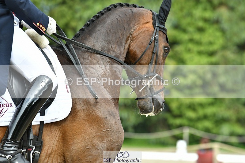 230525-163356-04796 - 435-LUNA_MIST-Tom_McEwen-DR