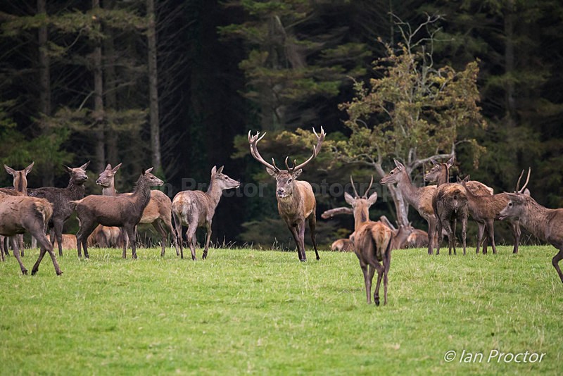 All Eyes On Me! - Nature