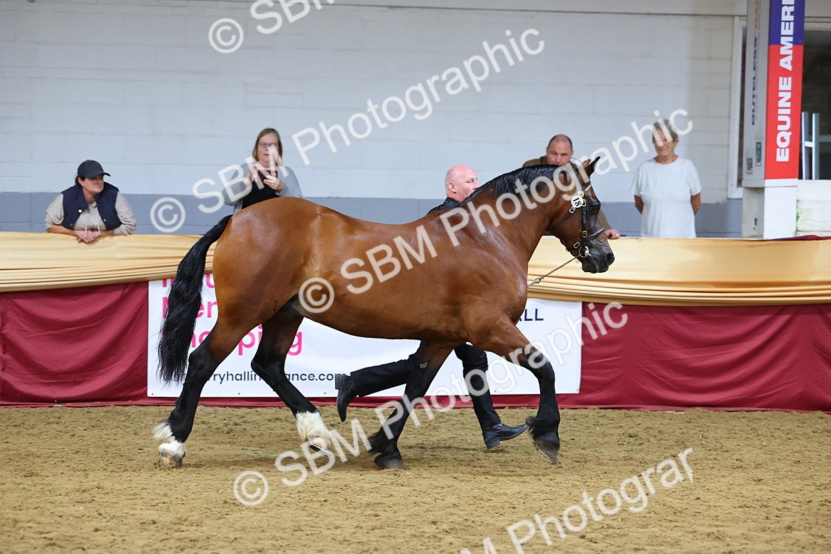 SBM_23210 - Supreme Final - IH Champion