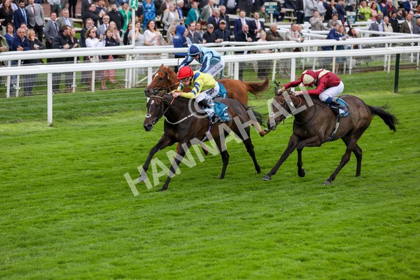 120724-Race 4-Karmology-1728 - Race 4 3.50pm Azets Handicap