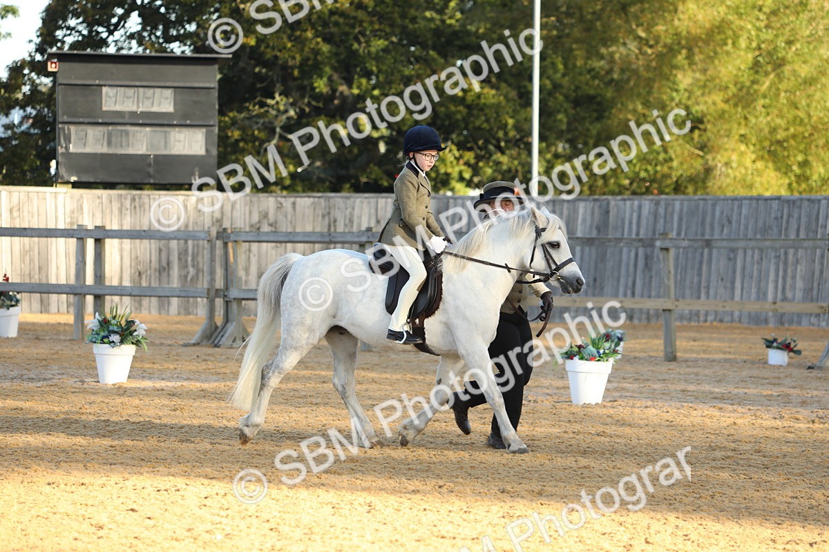 SBM_33600 - D26 - Starers - Lead Rein