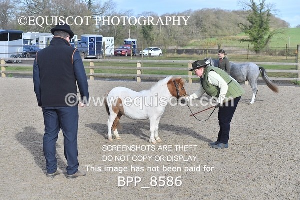 BPP_8586 - RING 2 - M&M