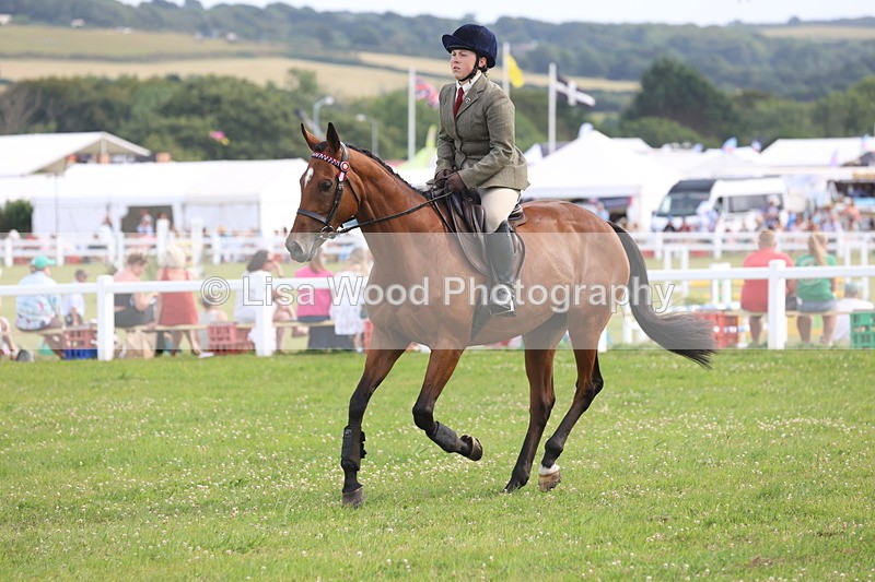JPP_4195 - Class 25: Working Show Horse