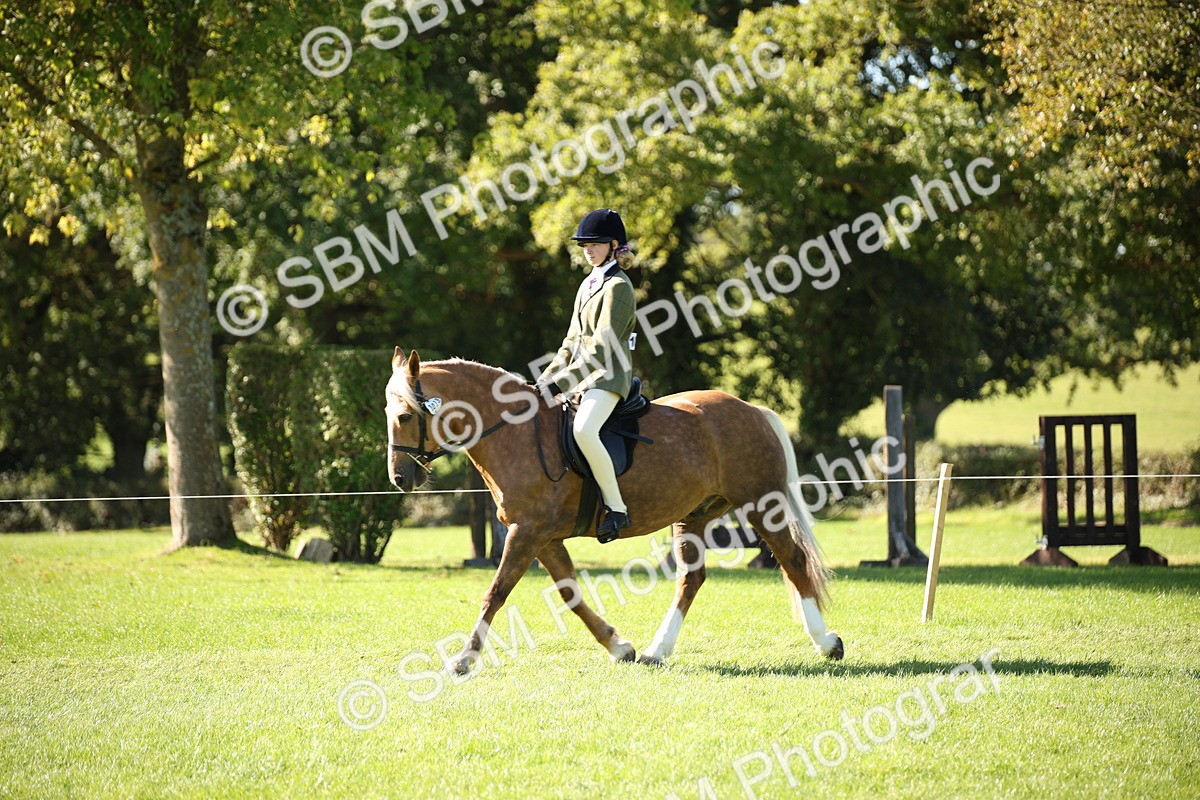 SBM_38954 - S11 - Best Ridden Horse & Pony