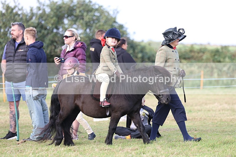 3E7A3326 - Class 2: Lead rein