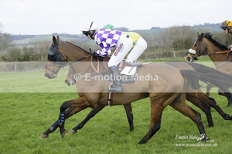 PtP 060322 263 - Blackmore & Sparkford Vale Hunt PtP 06/03/22