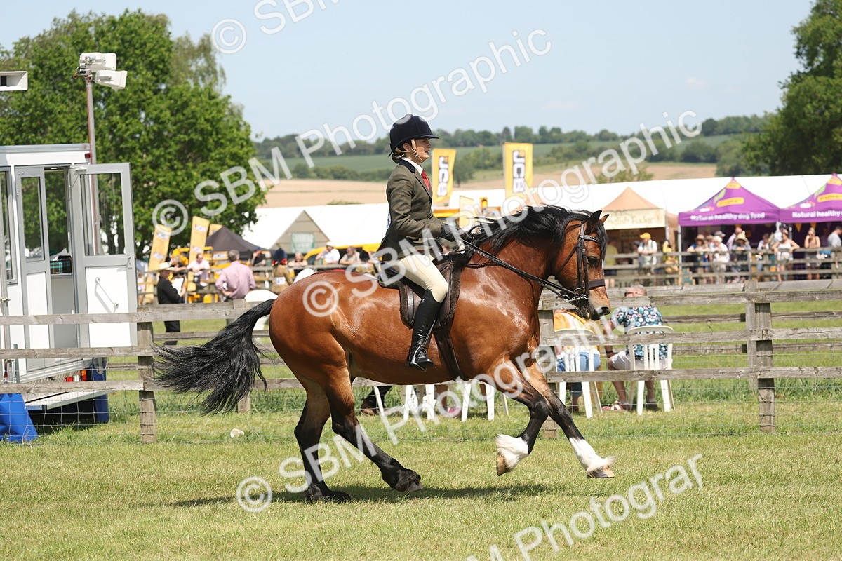 SBM_06927 - Class 26-30 - Mountain and Moorland Ridden