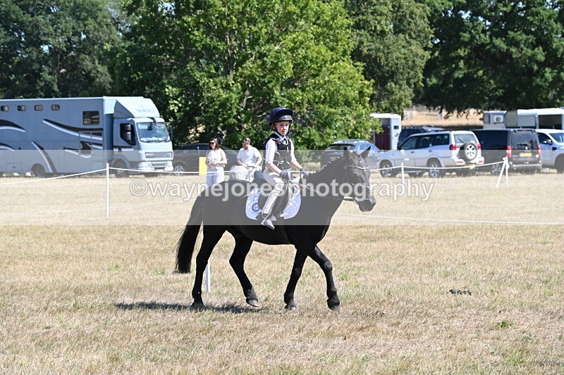 WJ6_8374 - Class 37a Best Loan Pony Ridden