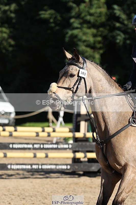 241027-112824-16799 - 363-Emily.Dobson-SILVERLININGS.APHRODITE