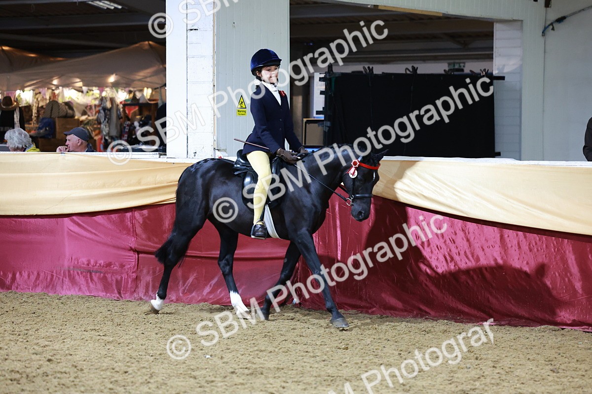SBM_20902 - Class M - Equitation Champ