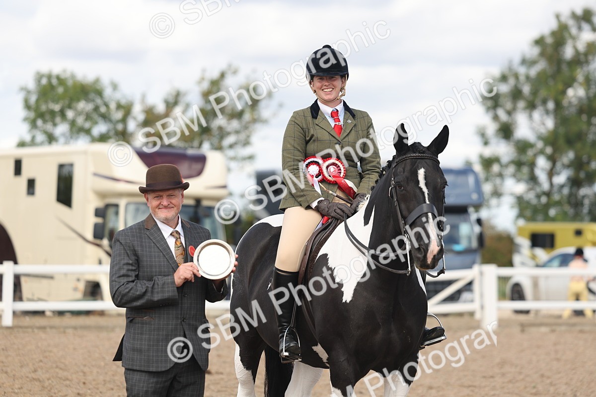 SBM_14838 - Class 308 - Ridden Coloured Horse