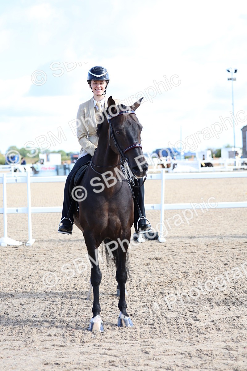 SBM_09140 - Class 303 - Ridden Pure Bred Horse Pony