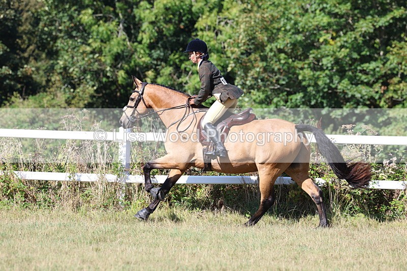 3E7A5836 - Class 5: Working Hunter 90cm