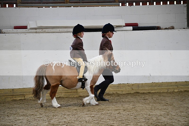 WJ5_6544 - Class 10 Childs Pony