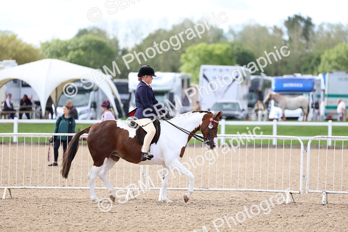 SBM_10073 - Class 304 - Ridden Part Bred Horse Pony