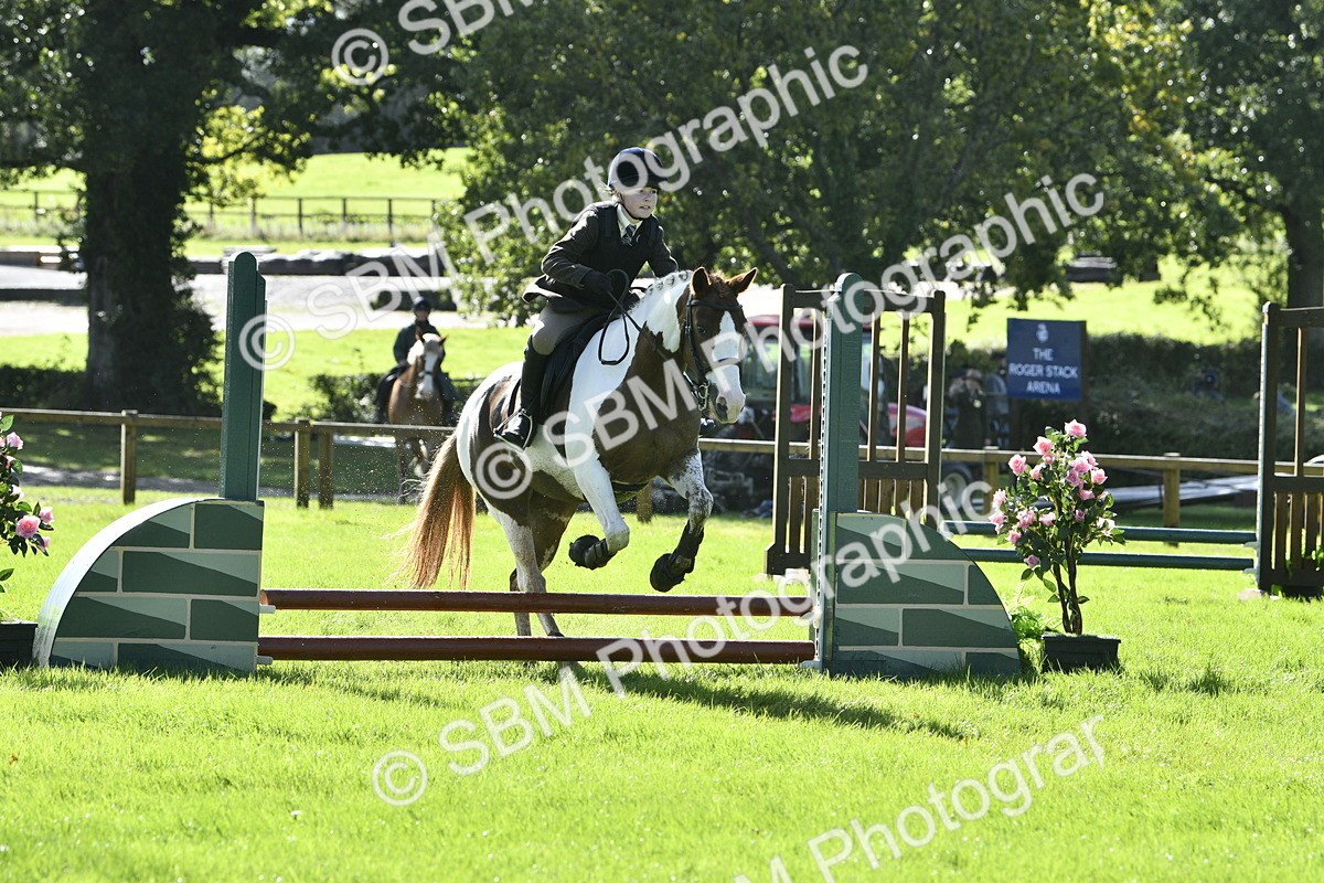 SBM_38178 - S31 - Novice & Newcomer Working Hunter Pony