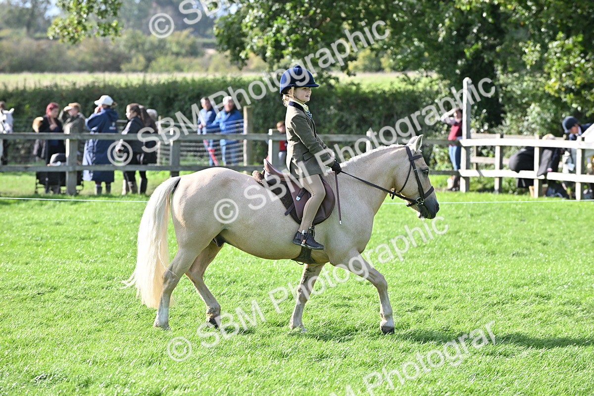 SBM_51256 - S22 - First Ridden show and show Hunter Pony