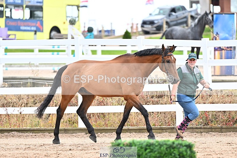 240718A-105326-01999 - Trot Up 2pm to 3pm - This folder is not in time order