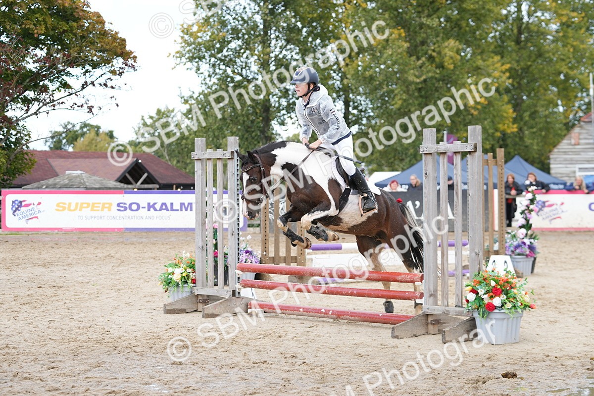 SBM_40705 - Supreme Championship Pony 50-55cm