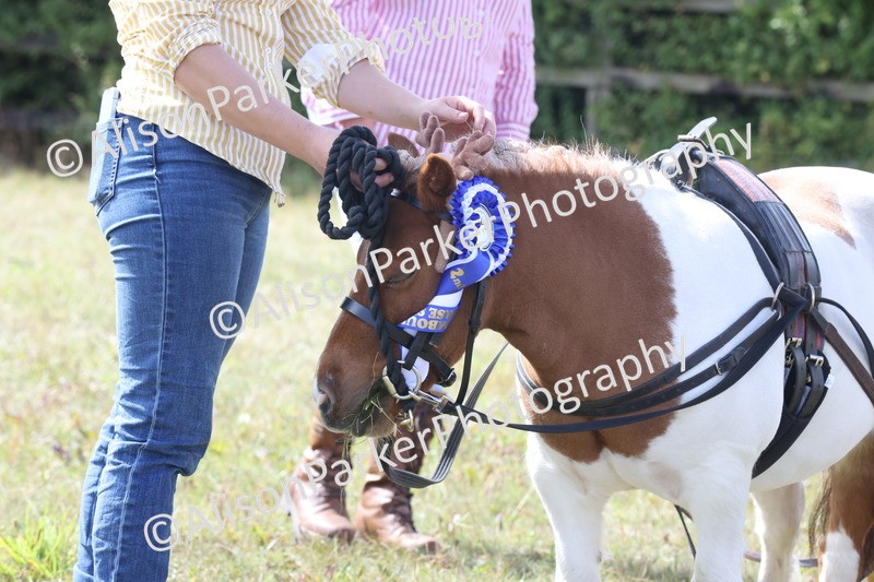 20250831-4475 - Class 26 - Fancy Dress