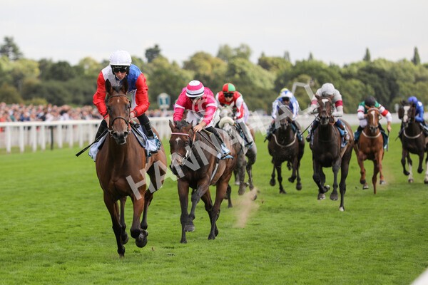 yr19082022r5-22 - Race 5 4.10pm Assured Data Protection EBF Fillies' Stakes